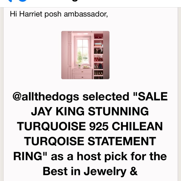 HP/ SALE JAY KING STUNNING TURQUOISE 925 CHILEAN TURQOISE STATEMENT RING - Picture 5 of 5